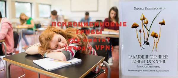 ALPHA-PVP Магас