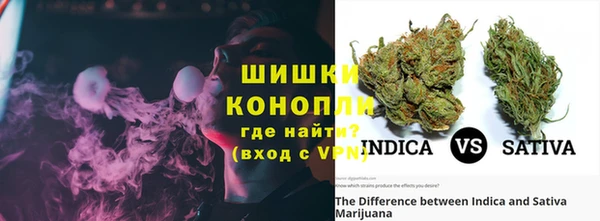 стафф Майский
