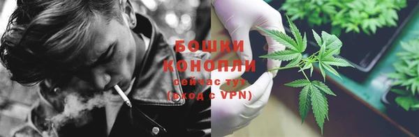 стафф Майский