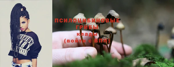 ALPHA-PVP Магас